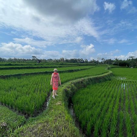 Puri Kasih Gottlieb Hotel Ubud Buitenkant foto