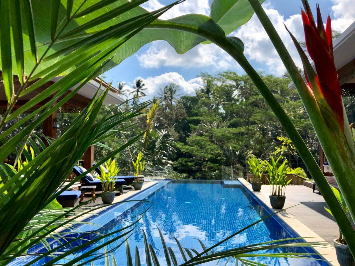 Puri Kasih Gottlieb Hotel Ubud Buitenkant foto