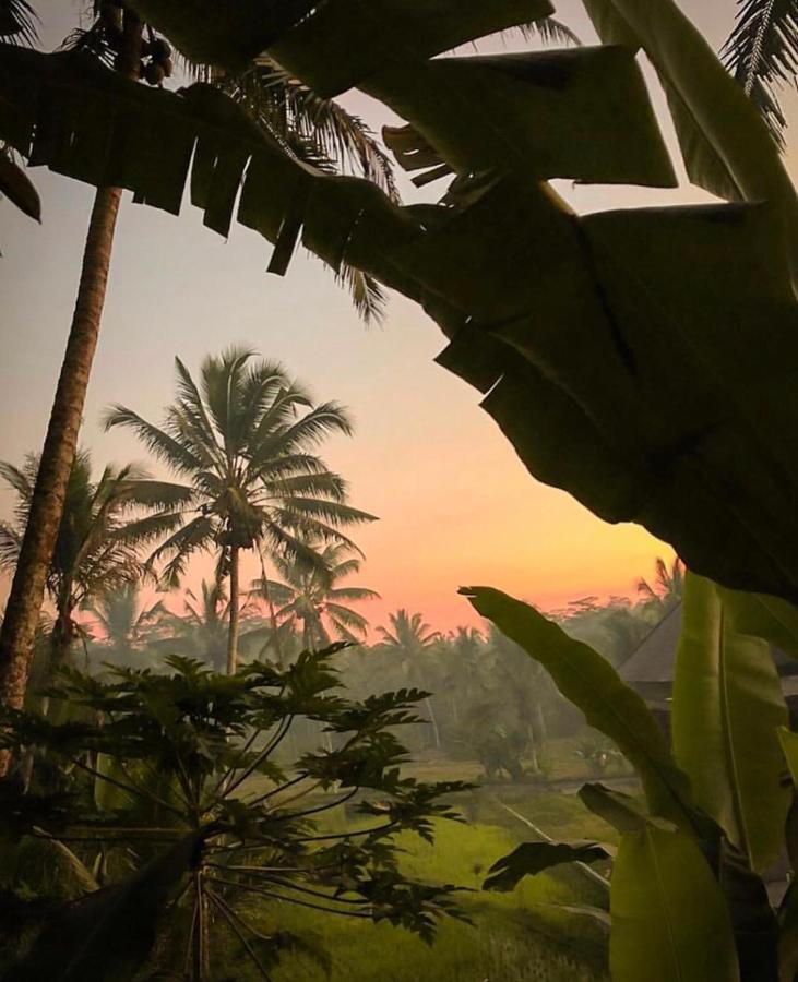 Puri Kasih Gottlieb Hotel Ubud Buitenkant foto