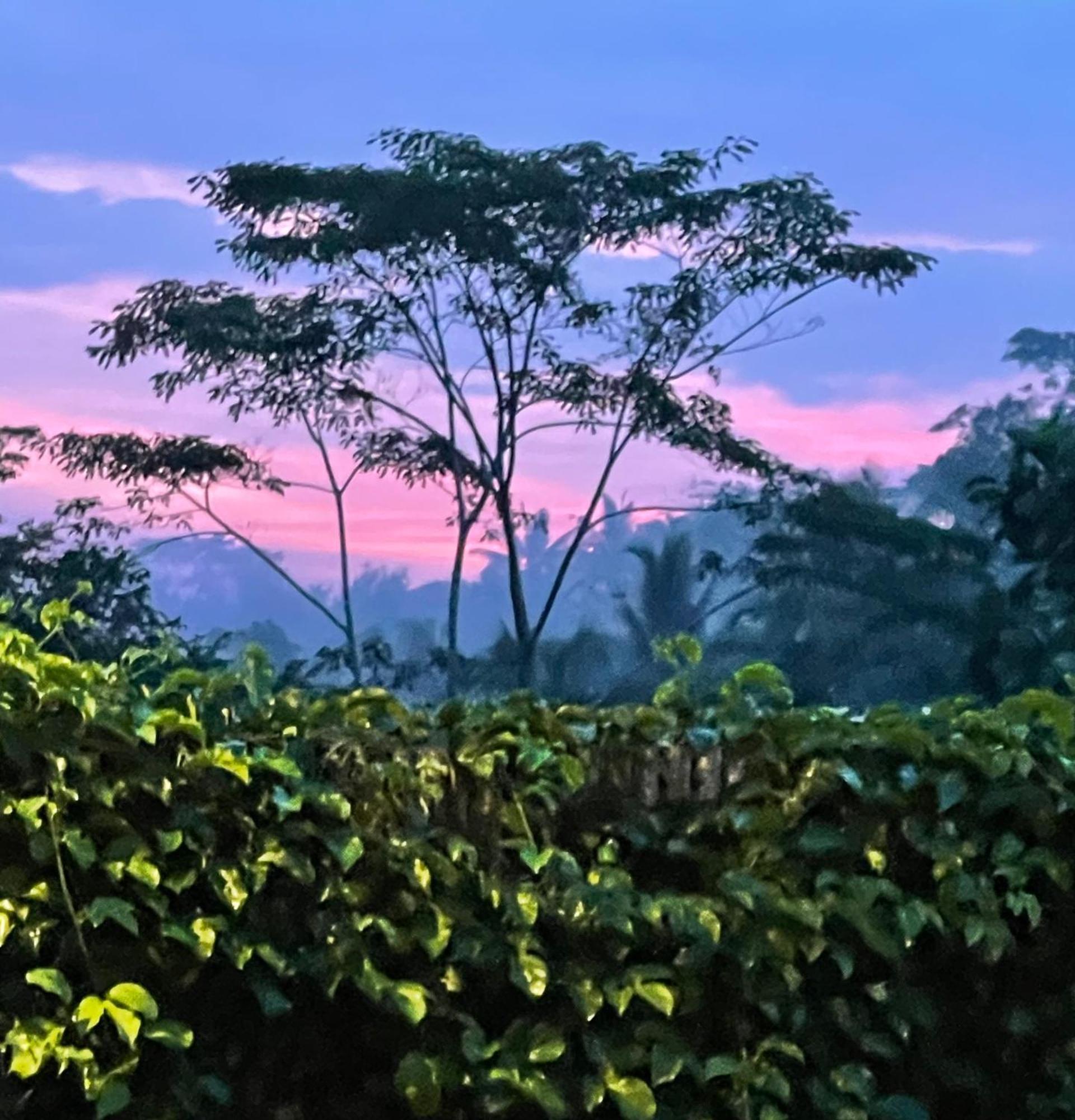 Puri Kasih Gottlieb Hotel Ubud Buitenkant foto