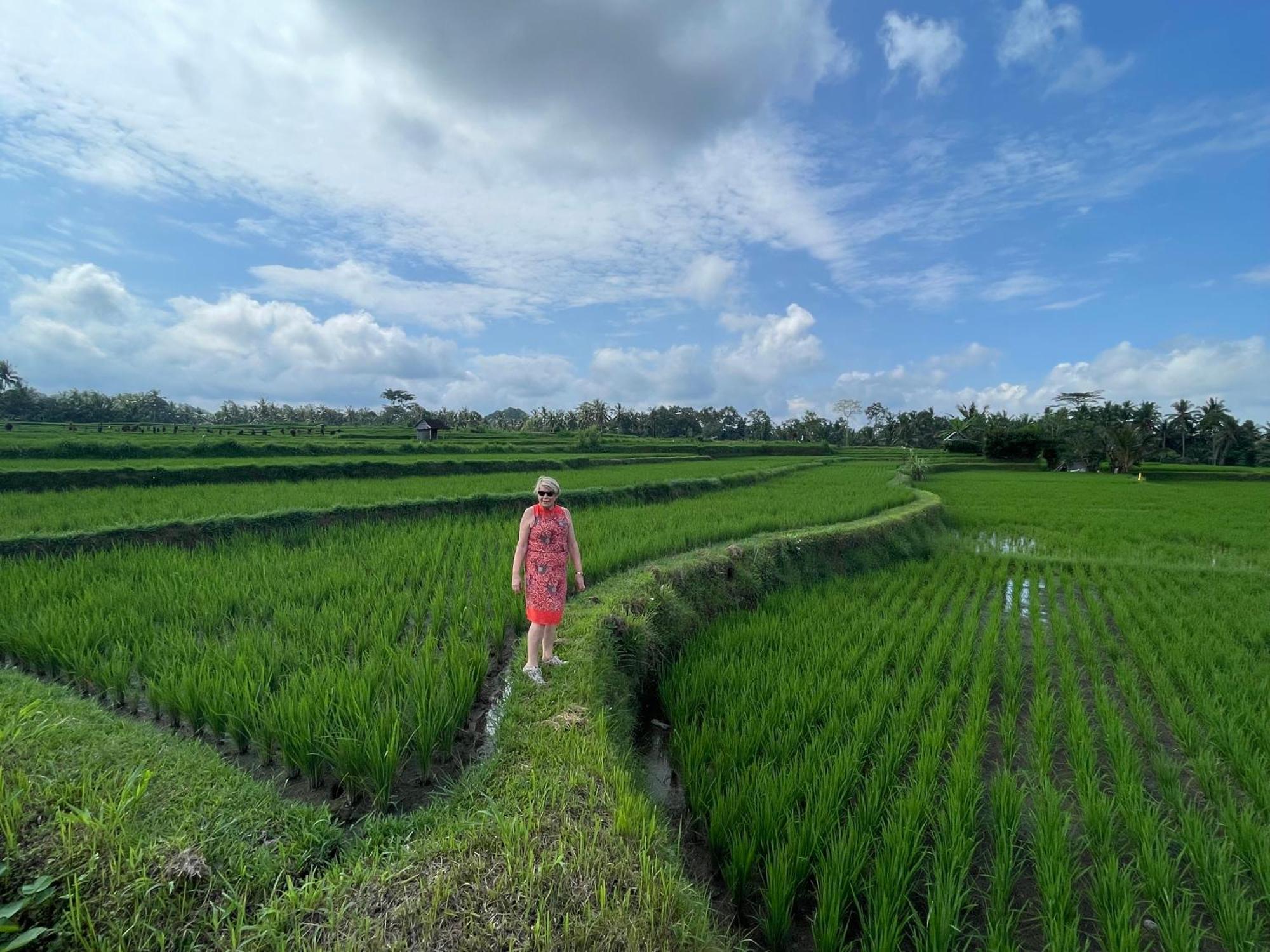 Puri Kasih Gottlieb Hotel Ubud Buitenkant foto
