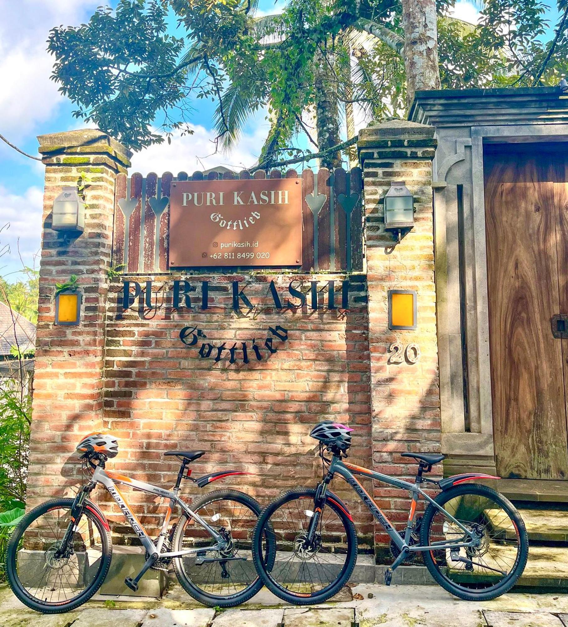 Puri Kasih Gottlieb Hotel Ubud Buitenkant foto